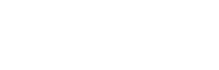 Technical Institute